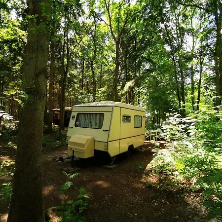Ddr Kult Wohnwagen Direkt Am Campsite *