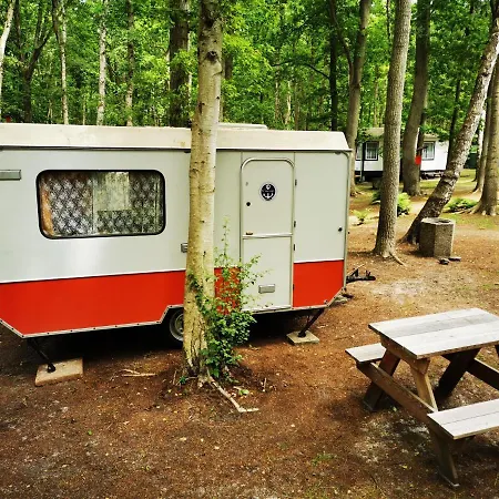 Ddr Kult Wohnwagen Direkt Am Campsite *