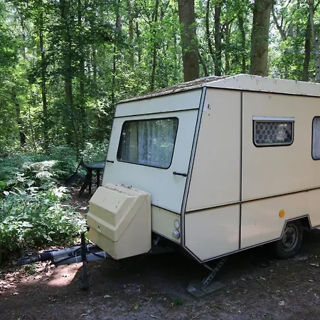 Ddr Kult Wohnwagen Direkt Am Kemping Kreptitz